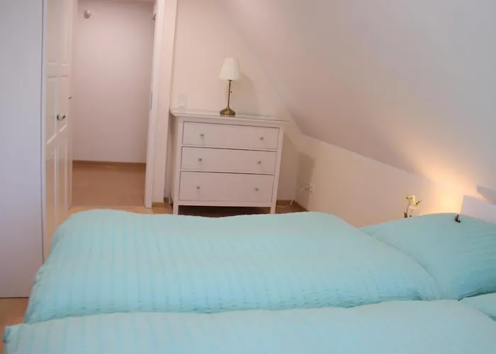 Liebevoll Eingerichtetes Haus Mit Grossem Garten In Dresden - Telefonnummer Und Video Unter Www Fhvn De